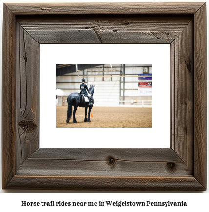 horse trail rides near me in Weigelstown, Pennsylvania